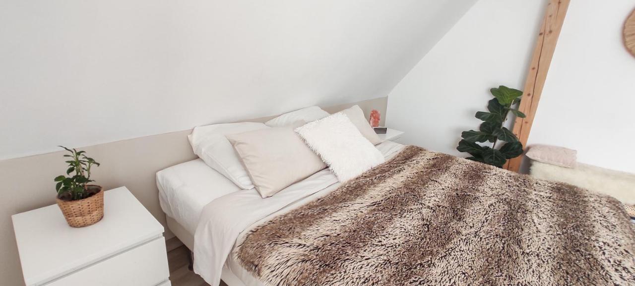 Cocoon Bed And Breakfast Fegersheim Exteriör bild
