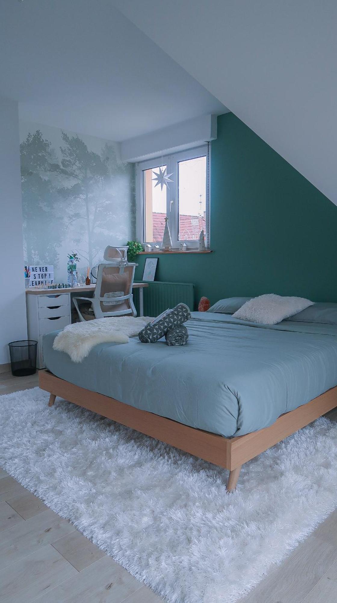 Cocoon Bed And Breakfast Fegersheim Exteriör bild